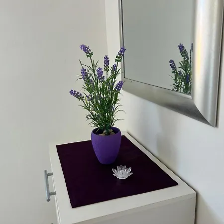 Apartmani Roje Sveti Filip I Jakov Exterior photo